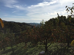 2014-11-16 09.47.35.jpg